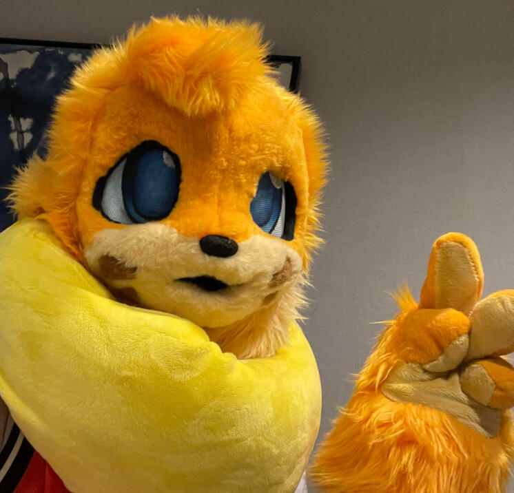 fursuit joel the pokemon made in march of 2023