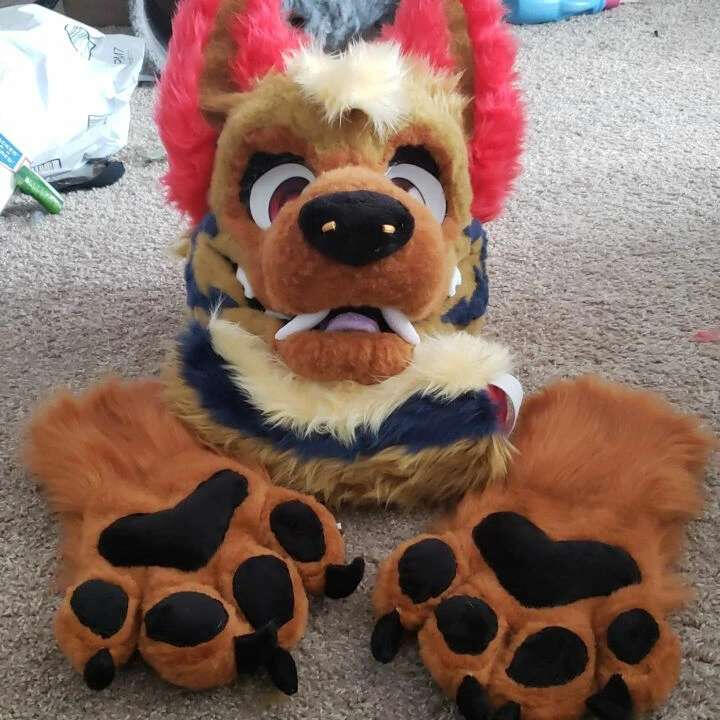 Rainn The yeen partial completed in june of 2023